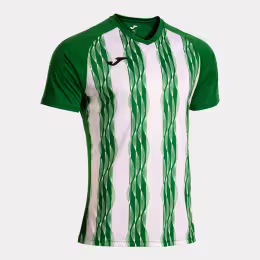 Tričko INTER V T-SHIRT